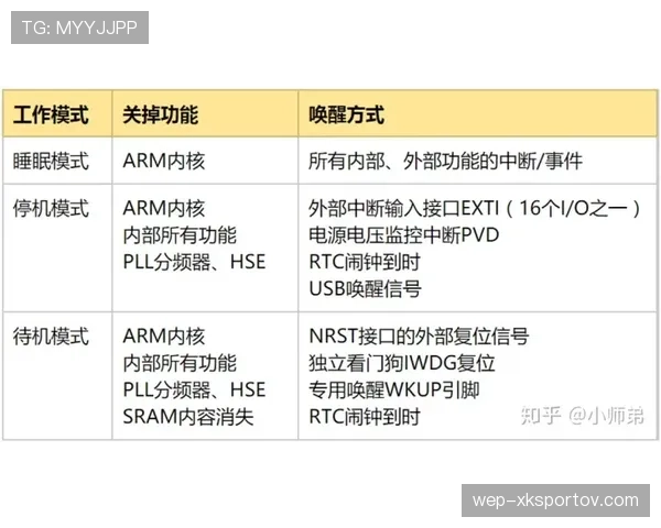 中断规则裁判中止判定与恢复比赛流程